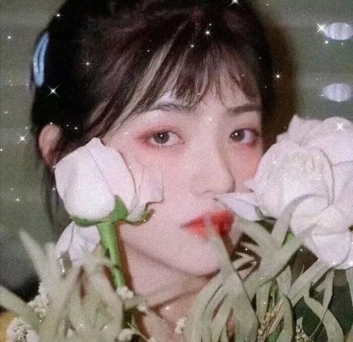 艾米莉亚2.0